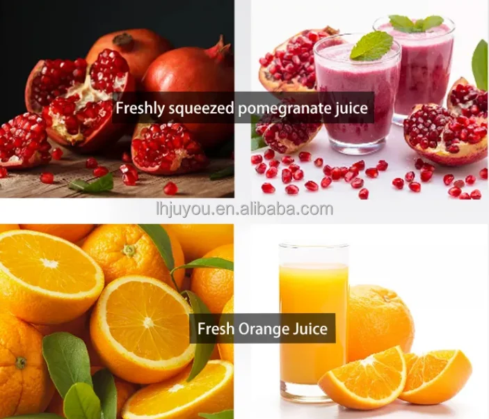 manual juicer2.png