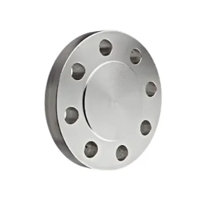 DONGLIU Stainless Steel Sanitary Forged Technics boiler flange sight glass ported blind flange