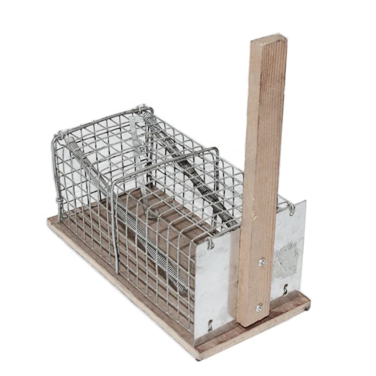 Small Square Eco-Friendly Wooden Animal Traps High-Cost Humane Pest Control Rabbits Birds Outdoor Farm Use Steel Material US