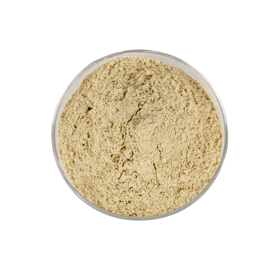 High quality metal casting steel casting applicant pregelatinized tapioca starch pellet binder