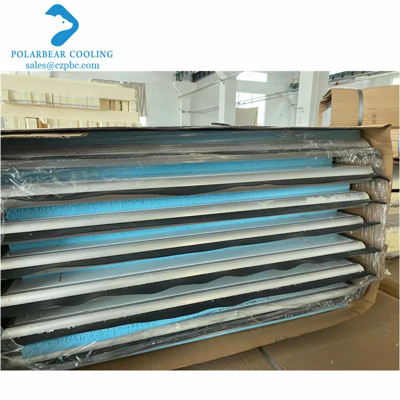 2023 Hot Sale Double Leaf Kitchen Stainless Steel Double Swing Traffic Doors for Food Industry