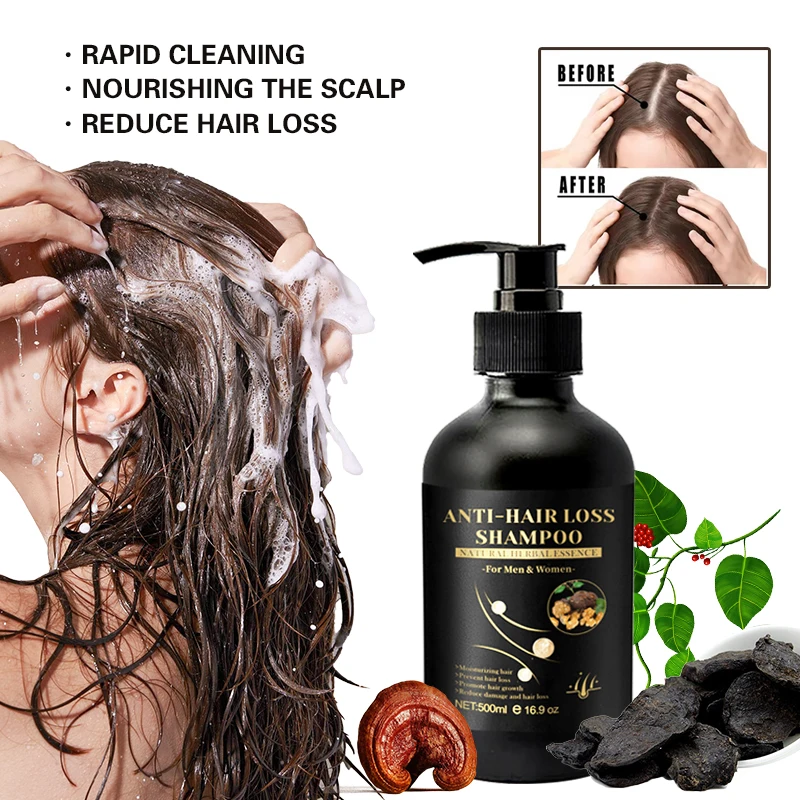 Частный бренд черный шампунь Ganoderma и Polygonum multiflorum для предотвращения выпадения волос восстановления повреждений контроля масла пушистых