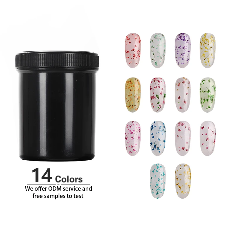 Wholesale Bulk KG Nail Uv Led poly builder extension dry Dried flower nail polish gel