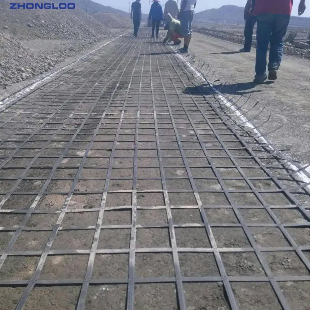 Steel Plastic Geogrid