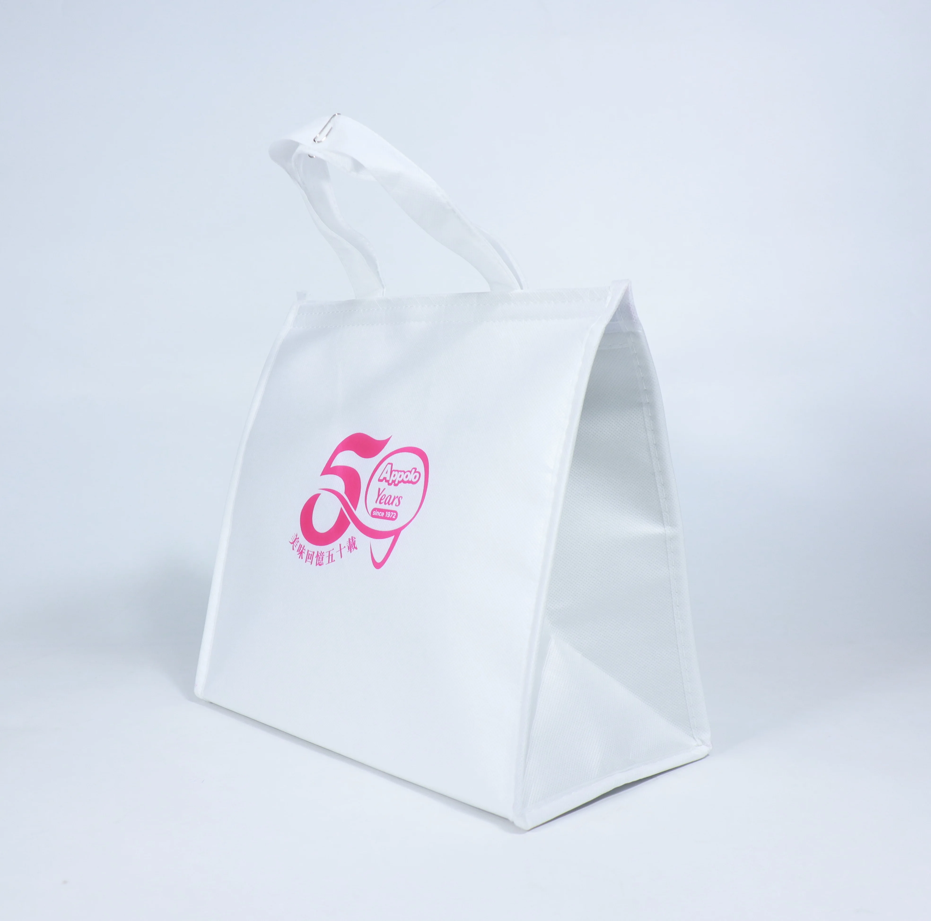 Wholesale Takeout Camping Reusable Cooler Non-Woven Zipper Tote Blue white Insulated Bags To Keep Food Cold