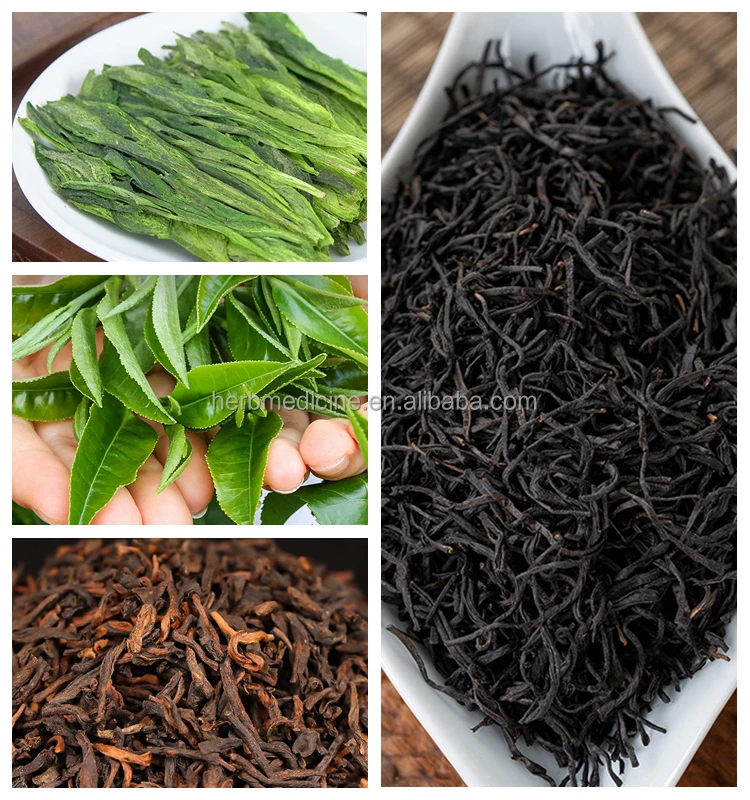 Tea.jpg