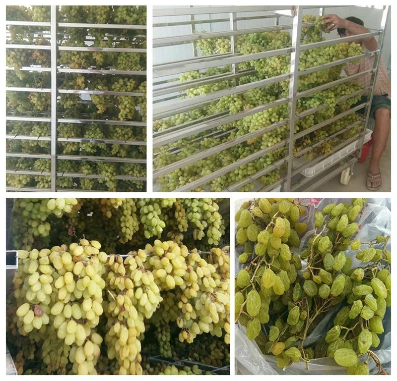 Industrial Air Source Banana drying machine/Food drying machine price