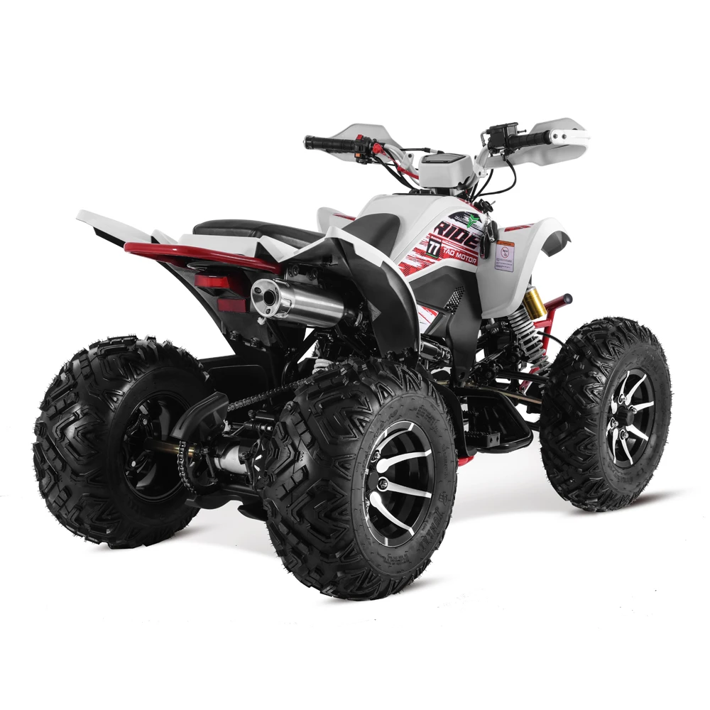 Tao Motor 2024 New Cuatrimoto Manual Gear 250cc 4x4 ATV Automatic Electric Start Alloy Rim Moto Tvs 125 Chain Drive Adult Size