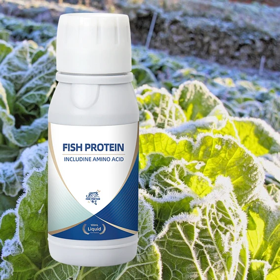 Biofertilizer for best growth of potato papaya pumpkin bell pepper crops