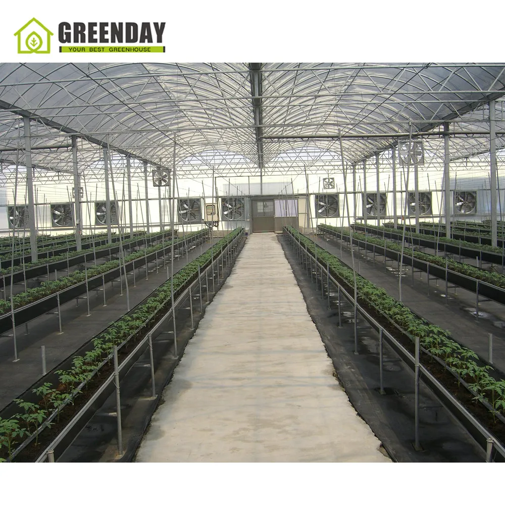 
GREENDAY Commercial wind resistance wooden mini wood glass 10mm polycarbonate sheet greenhouse for home agricultural used sale 