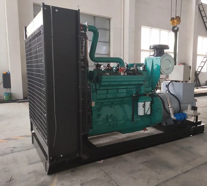 300КW Природный газ генератор