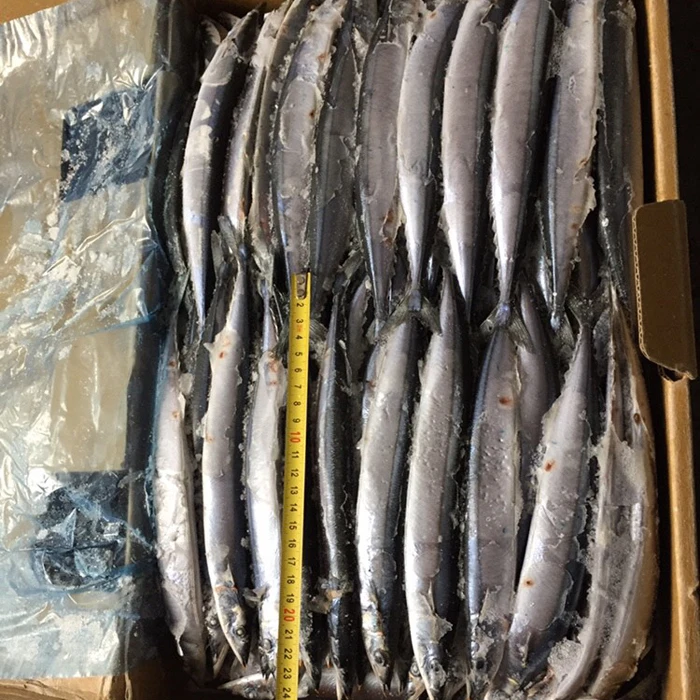 Top Fresh New Coming Frozen Pacific Saury