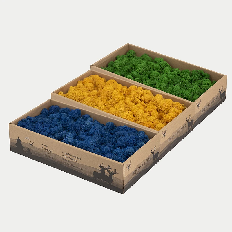 Wholesale Stabilized Preserved Lichen Reindeer Moss For Office Wall Decoration