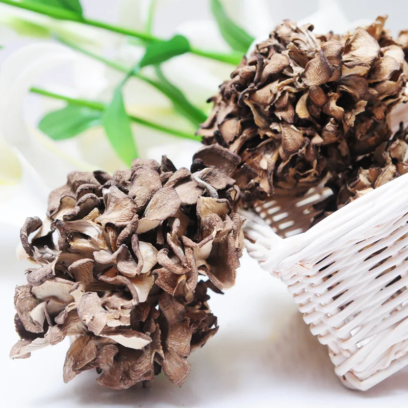 
Free sample professional manufacturer dried maitake fungi frondosa mushroom with PDF 