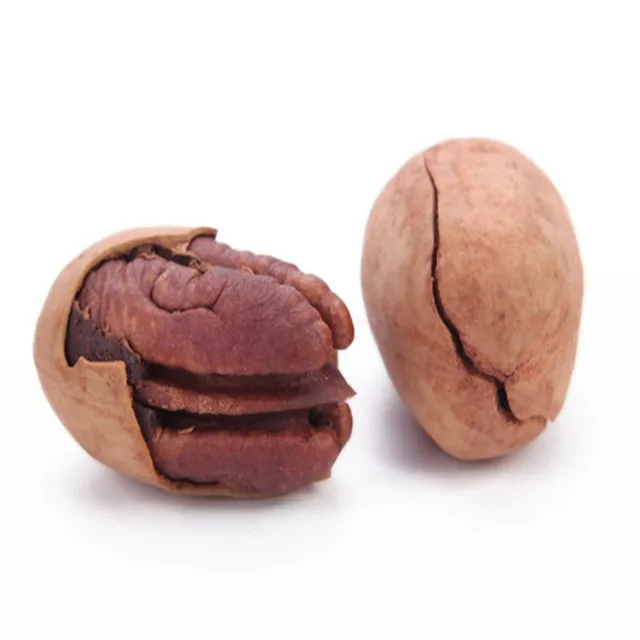 Best Sellers Natural Health In Shell Pecan Nuts Price Organic Pecan Nuts