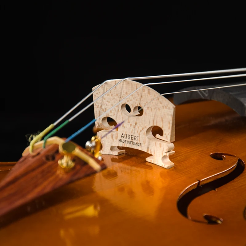 CHRISTINA Violin S500G Famous Brand Grade Test prices Free case string bow