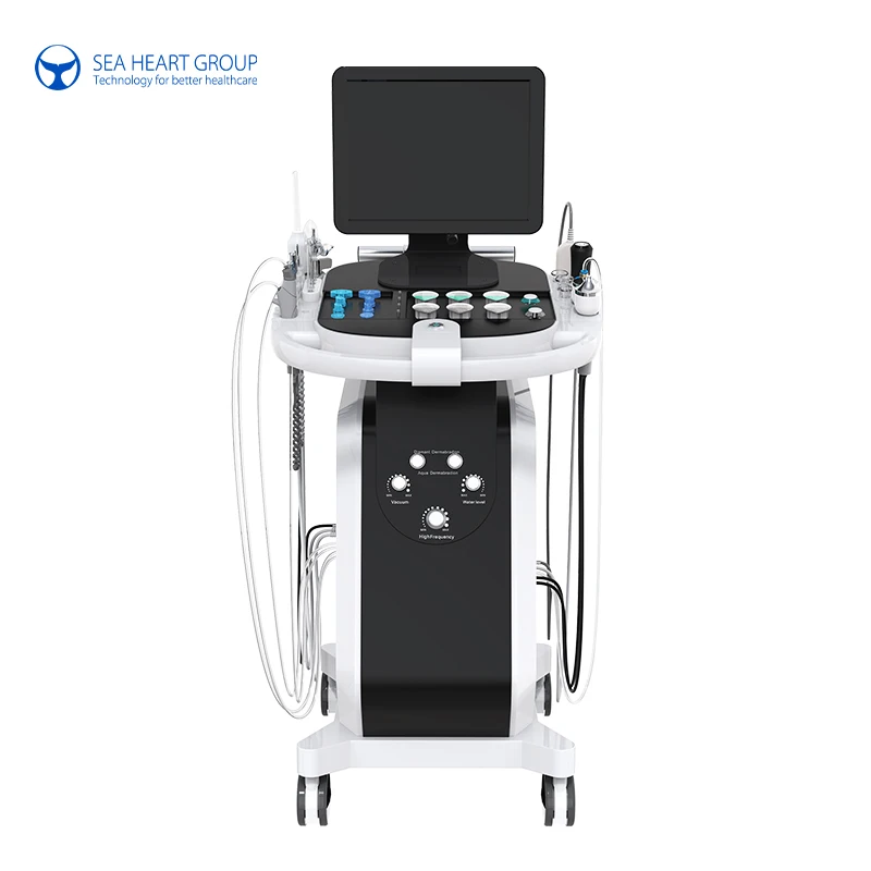 2023 Hot Sale 14 In 1 Facial Machine Microcurrent Facial Machine Hydra Dermabrasion Machine from sea heart