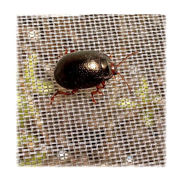 outdoor HDPE anti insect net for greenhouse 30mesh anti insect net anti-insect netting