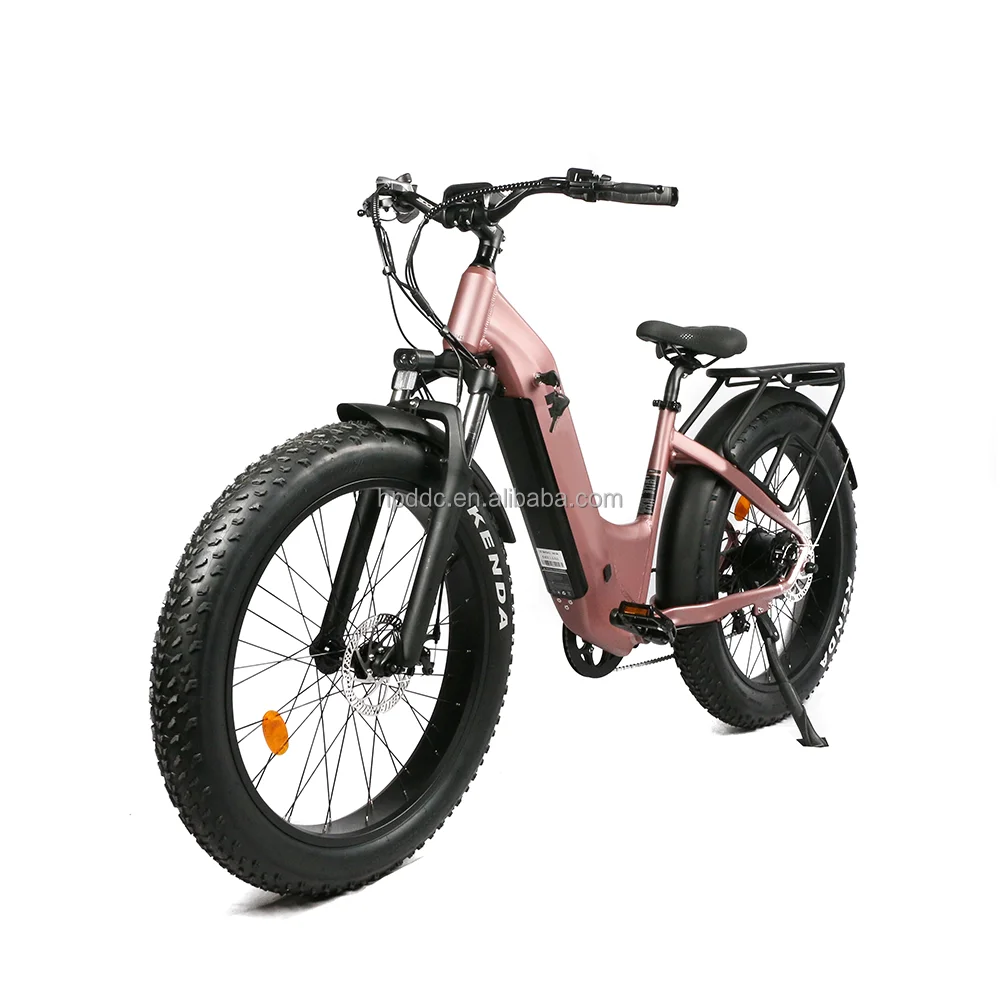 Two-wheel 500W powered motor 2024 electric mountain bike disc brake for both fat tire electric bike 7 speed ebike