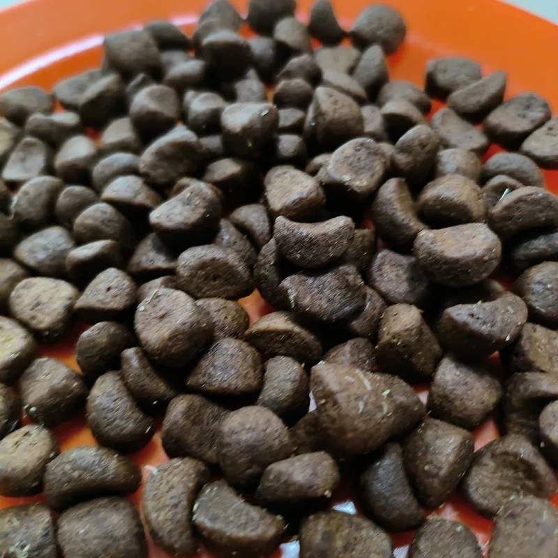 OEM ODM hot selling dry dog food Flavors Multiple Shapes Dry Pet Dog Food bulk dog food