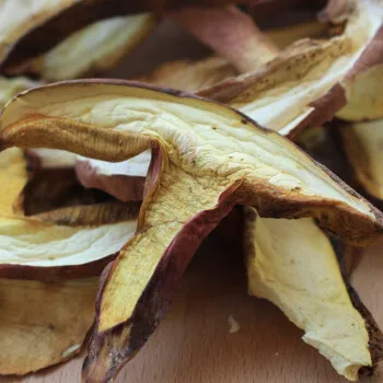 Wholesale Wild Pure Natural Mushrooms Edible High Quality Boletus Edulis Dried Funghi Boletus Mushrooms