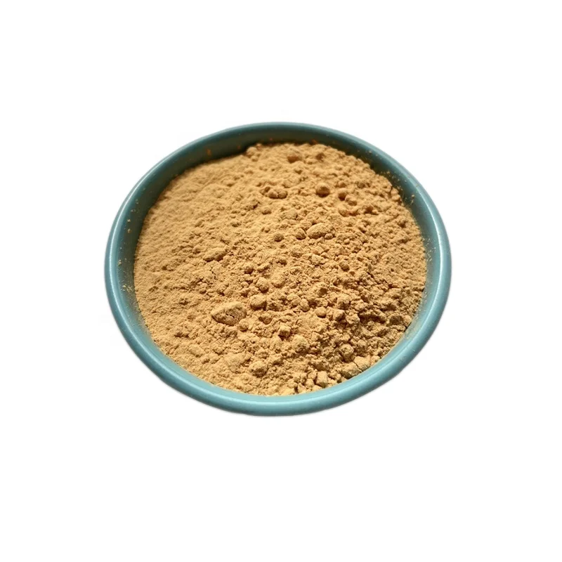 Factory Price  Cordyceps Militaris Mushroom Extract Powder Polysaccharides 10%-50% for capsule