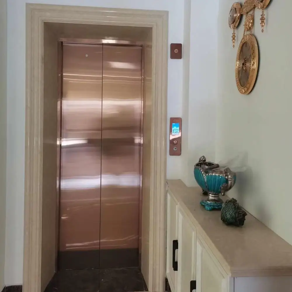 GOTS Elevator Passenger Lift Luxury For Home Marble Technology Steel German Glass Stainless Room Floor