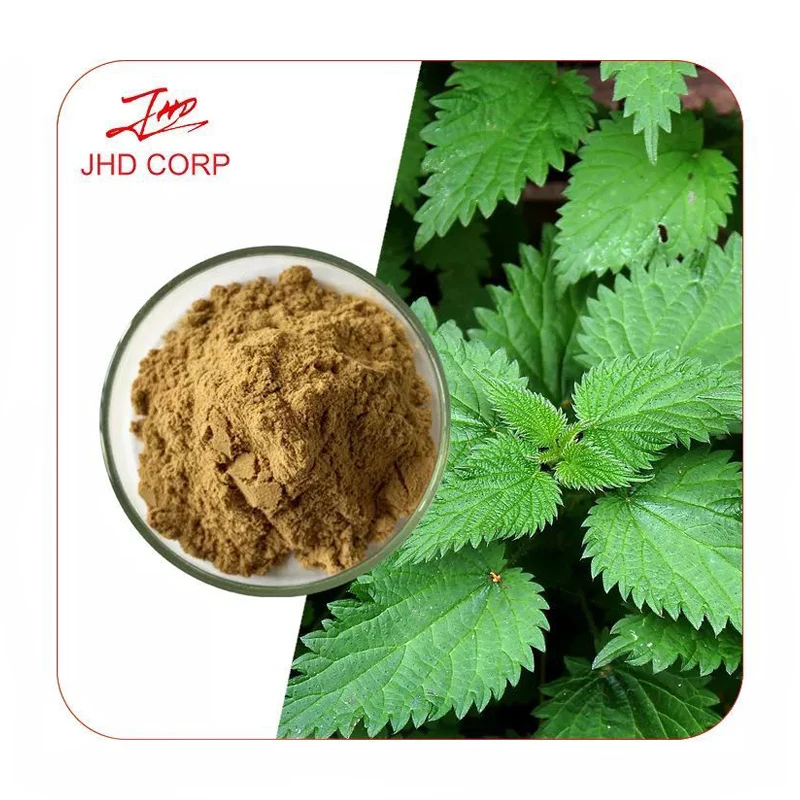 JHD Plant Herbal Extract 10%-98% Stinging Nettle Root Extract