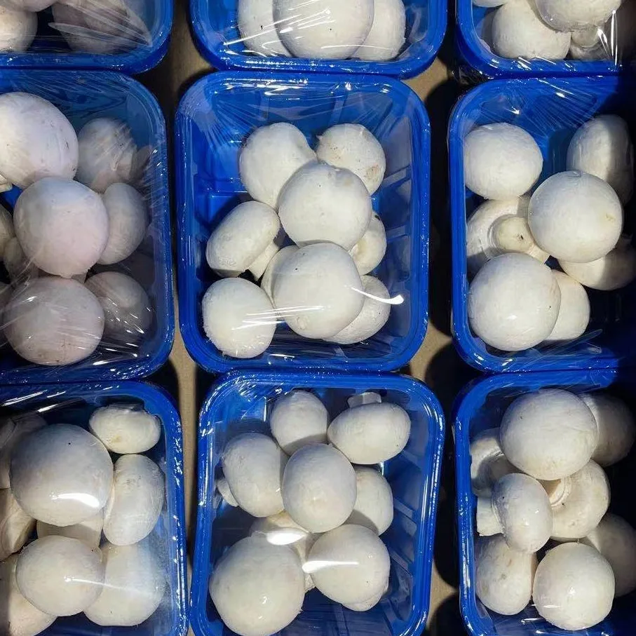 Microwave Plastic Film Cling Stretch Wrap Roll 40CM  1500M Jumbo Roll Food Grade PVC Mushroom Cling Film