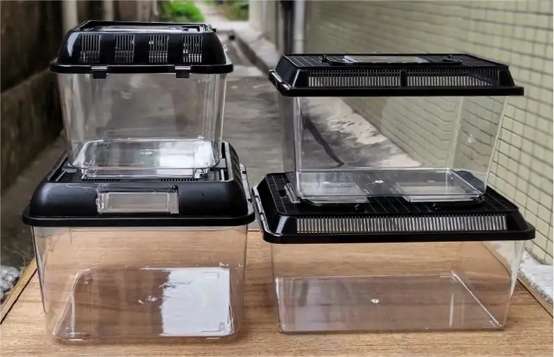 Portable Plastic Reptile Breeding Cage For Insect And Small Reptile Keeping
