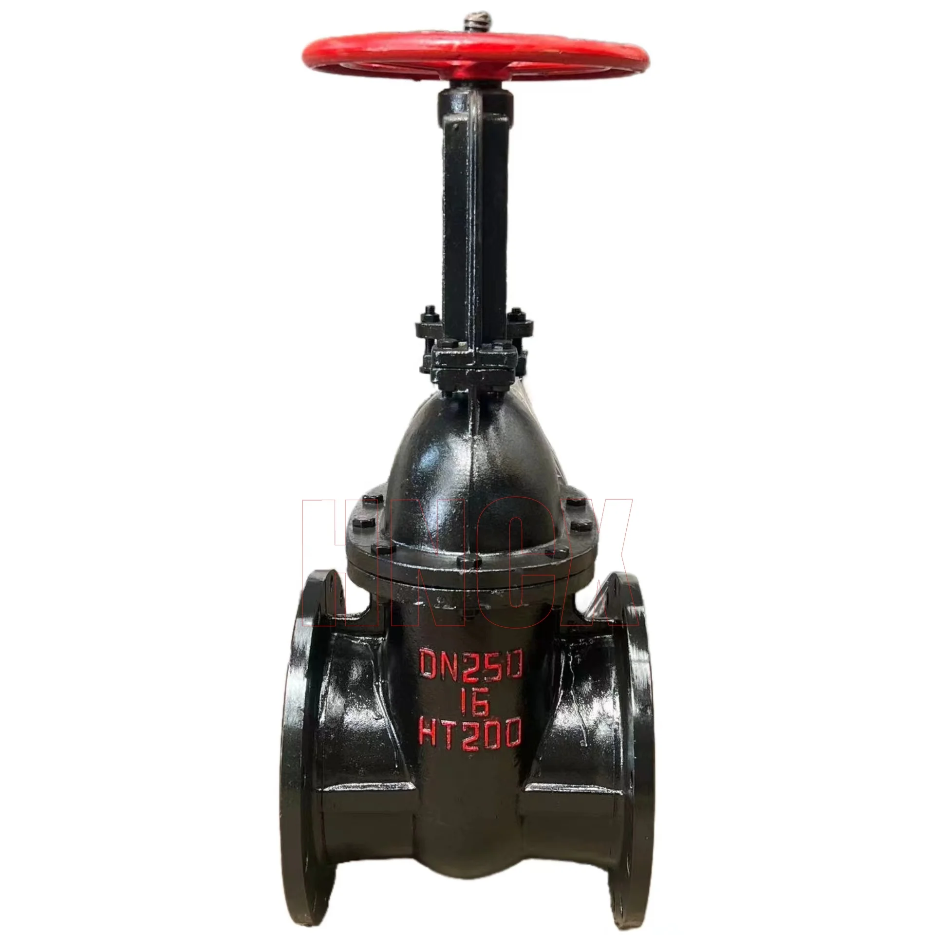 Z41T PN16 Manual Cast Iron Gate Valve Open Stem Wedge gate valve DN250 HT200 Copper Stem Cast Iron Flanged Gate Valve