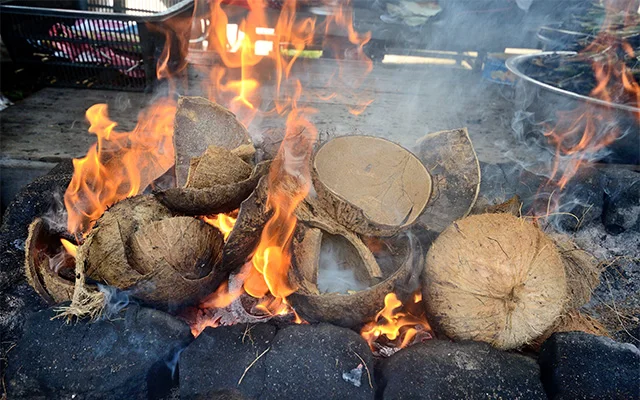 
Indonesia Raw Coconut Shell for Charcoal Material 