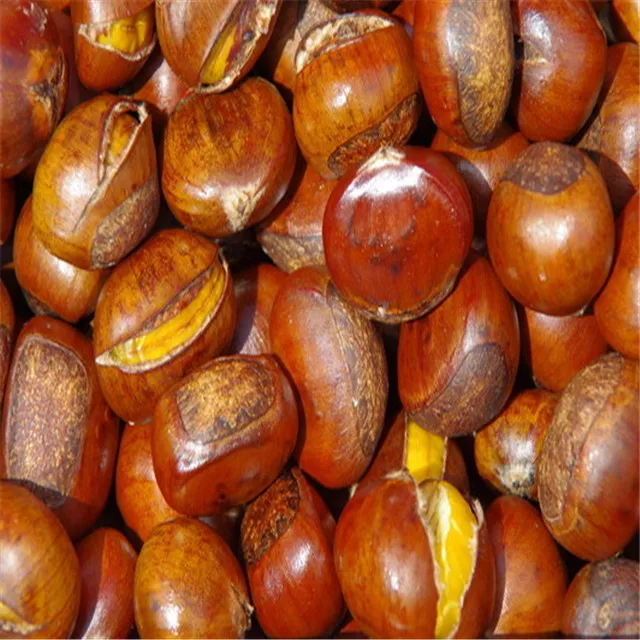 2021 New Organic Fresh Chestnut