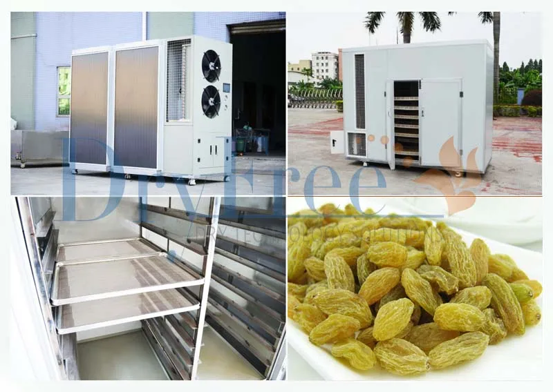 High Efficiency Good Quality Multifunction heat pump fruit dehydrator corn coconut  plum dryer machine