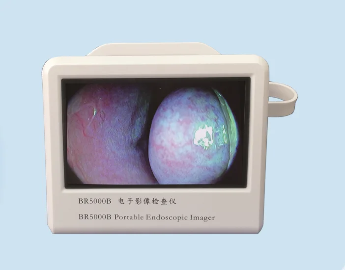 Veterinary equipment  BR5000B ENT Endoscopic Detector endoscope ent
