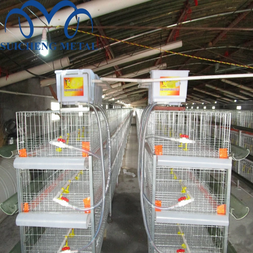 2024 Guangzhou Factory 48 birds capacity Galvanized broiler chicken cages