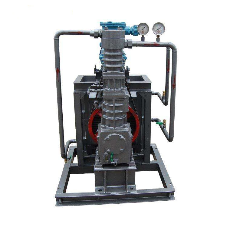 High Quality Custom Petroleum Compressor LPG Compressor for Natural Gas in Russia