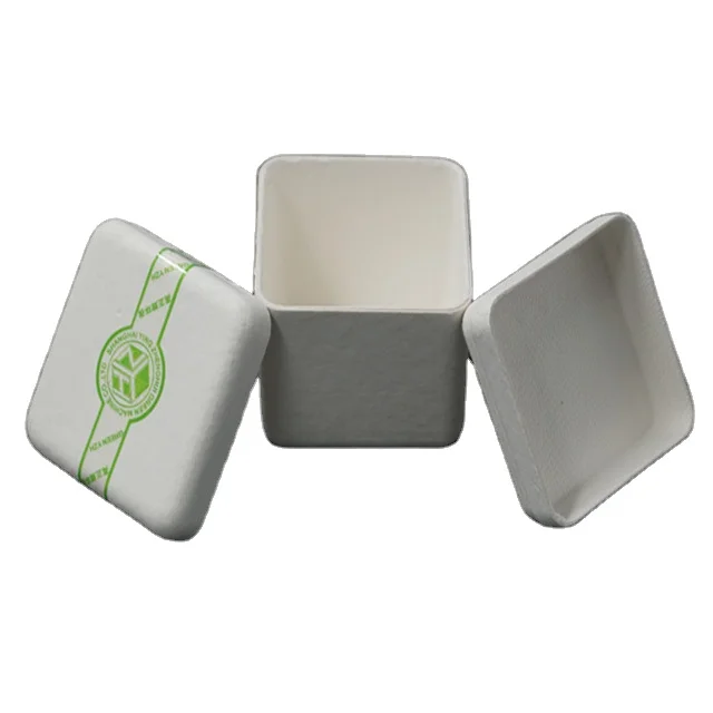 Paper Box Disposable sugarcane paper box biodegradable packaging  for freezer ice cream