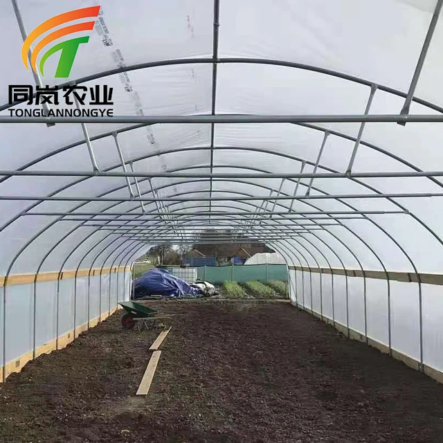 Easy Install Tomato Planting Greenhouse Single-Span Plastic Film Tunnel Green House Manufacturer
