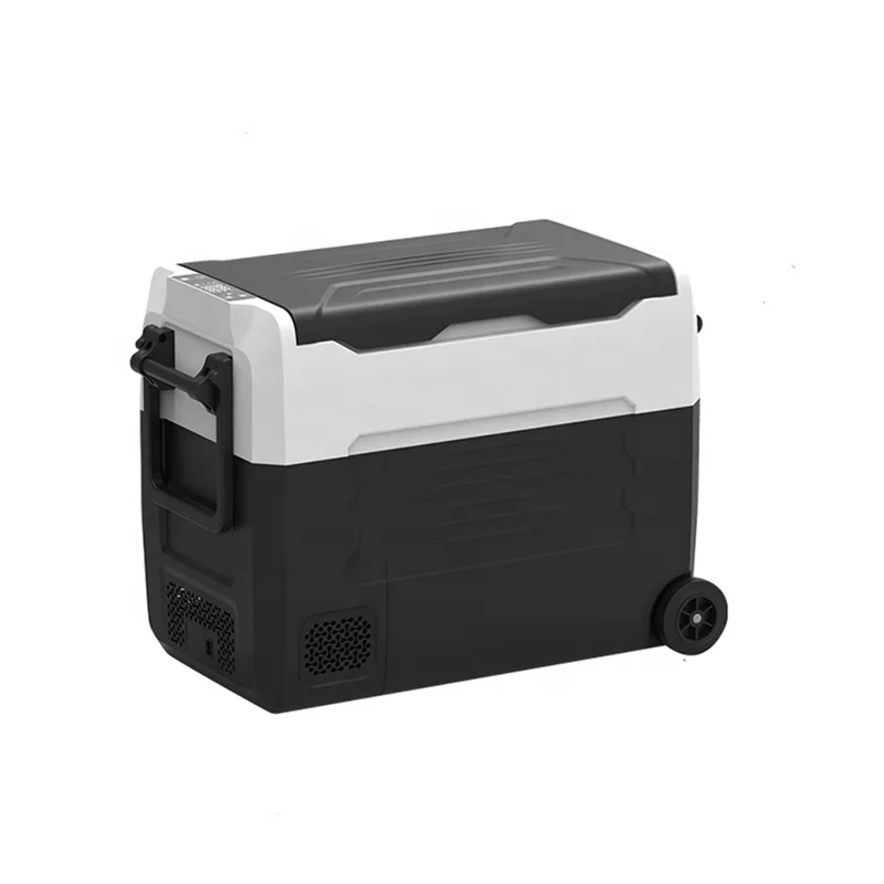 Large 55L Dual Temperature Car Freezer Truck Drinks Refrigerator