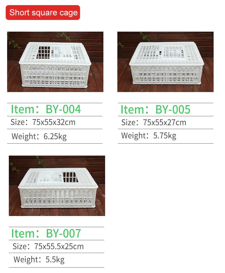 chicktransport crate (5)