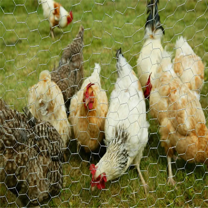 Galvanized Gabion Box Hexagonal Gabion Iron Wire Mesh Woven Gabion Net