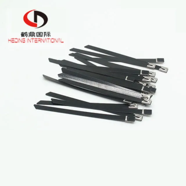 TJHD 12MMPlastic sprayed stainless steel tie