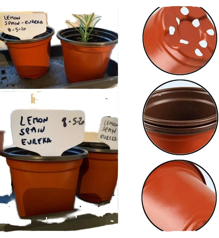 Wholesale Custom Big Colored Round Dome Dutch Bucket Terracota Nursery Gallon 5 gallon Thicken Planting Pots Plastic for Plant