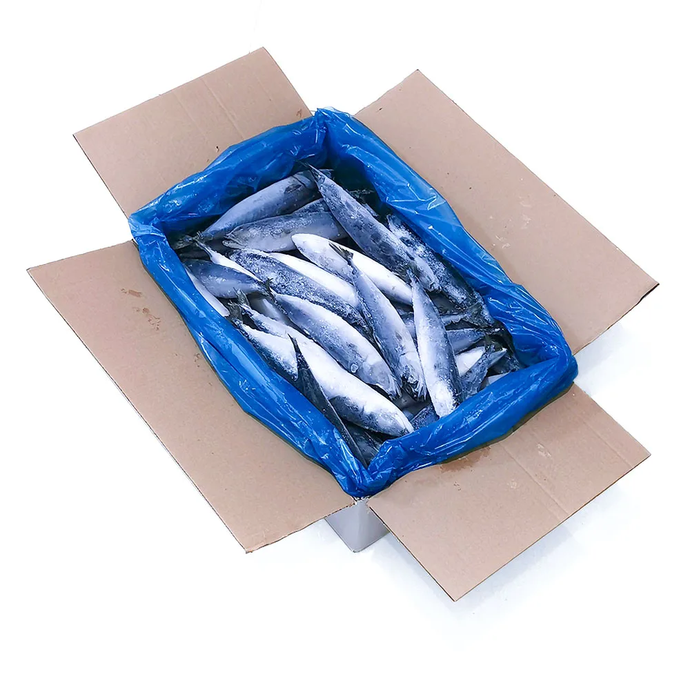 All size frozen pacific mackerel 100-200g frozen mackerel fish frozen atlantic mackerel fish