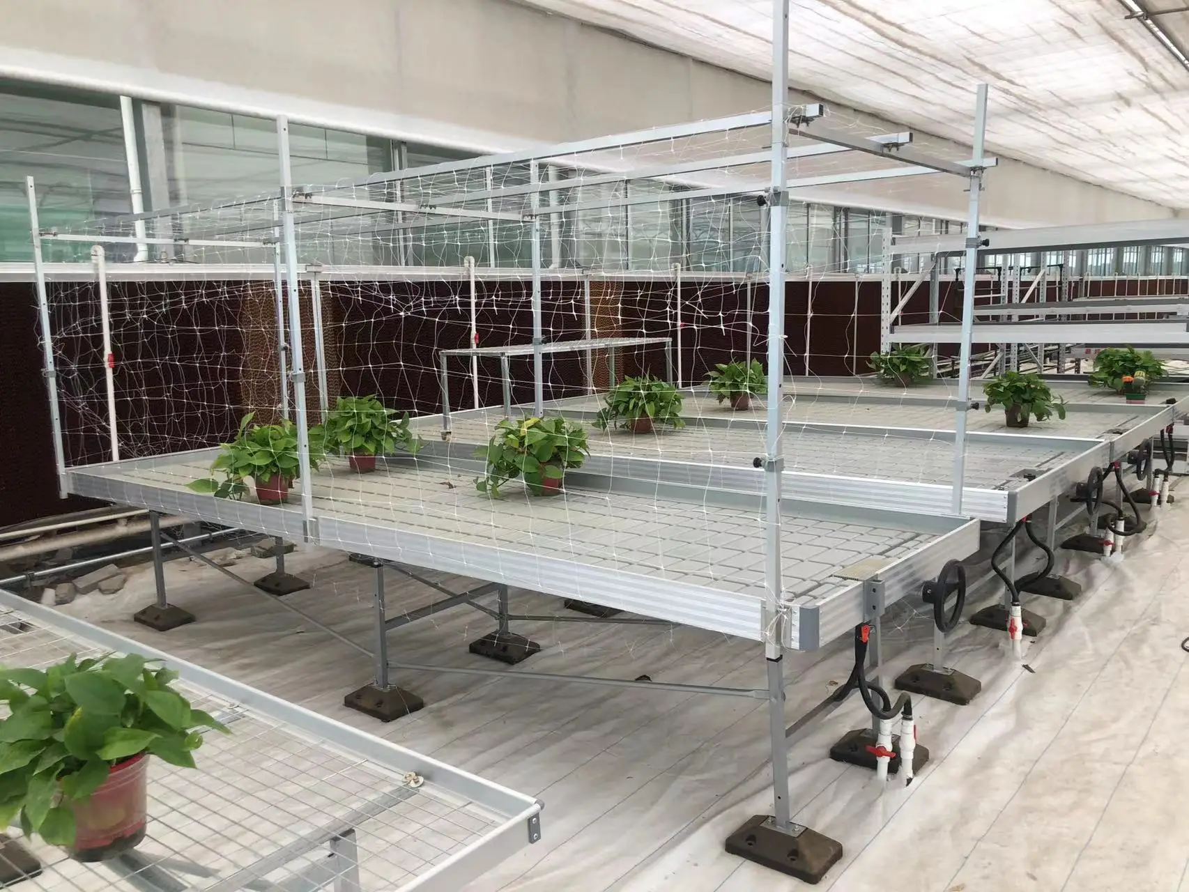 Greenhouse rolling bench