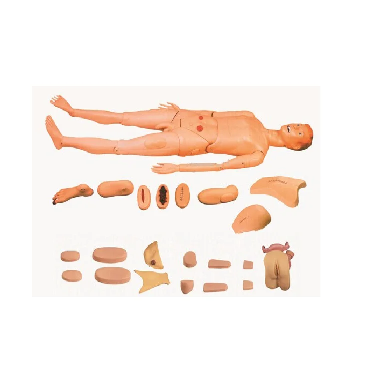 H135 human medical nursing care simulator disassemble full body manikin male dummy model for teaching