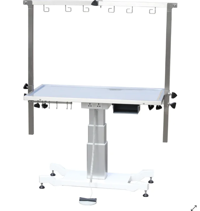 FT-892 Aeolus Electric Lifting Rectangular Dog Grooming Table Factory Supply Quality Assurance Pet Station