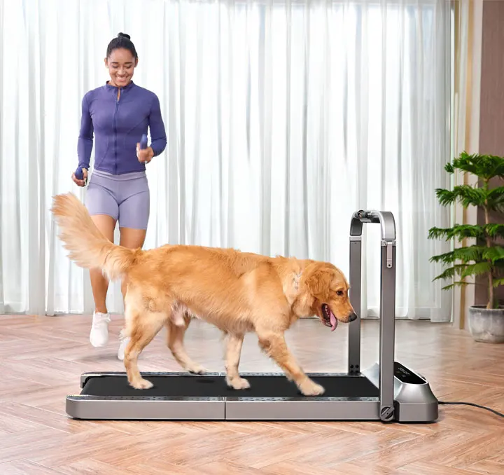Walkingpad R2 folding treadmill smart machine office for dogs
