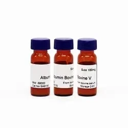 high quality research reagent 3-Allyloxy-2-Hydroxy-1-Propane,Sodium Salt cas 52556-42-0  2g
